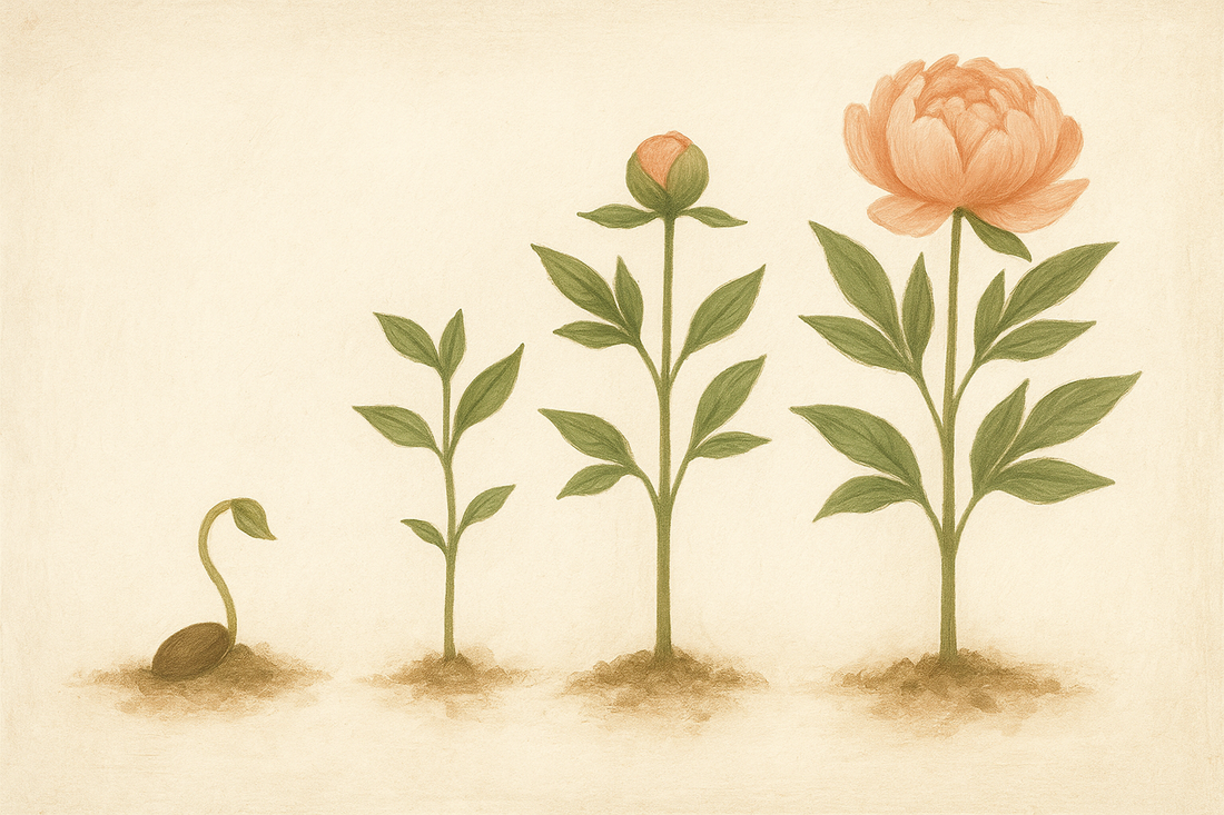 Good things grow slow