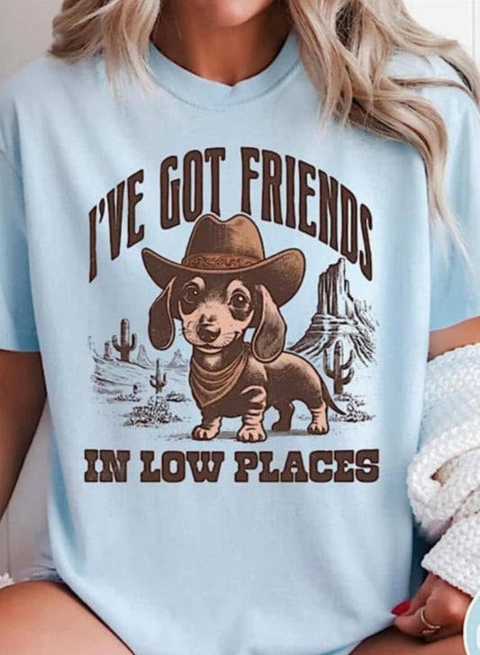 I've got friends in low places T-Shirt